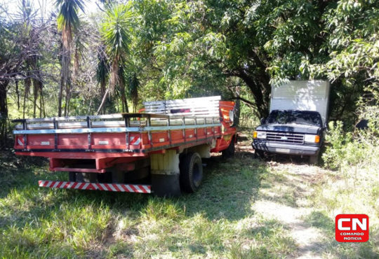 75464386 2206171406353376 5330553657039519744 n cópia