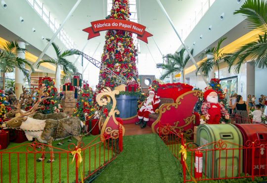 Chegada noel 2019 psi (2)