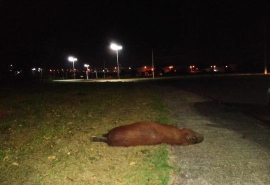 Img 20191101 205600063