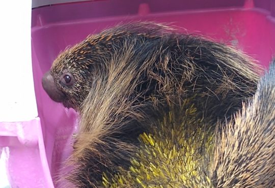 Img 20191118 113405959