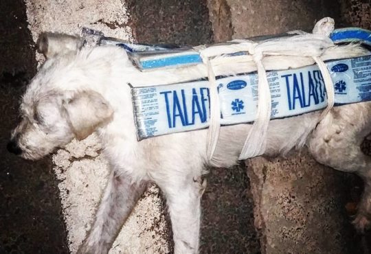 Img 20191119 150131 101