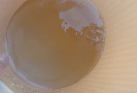 Whatsapp image 2019 11 21 at 11.27.01