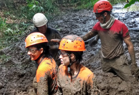 21525bc0 239c 4122 84d0 6e350274f00d cópia