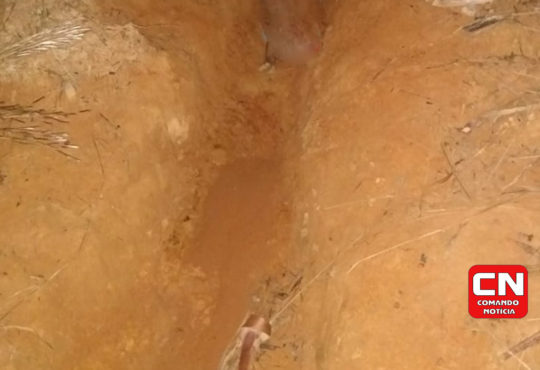 Homicidio infantil 2 cópia