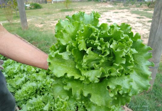 Img 20191008 084813069