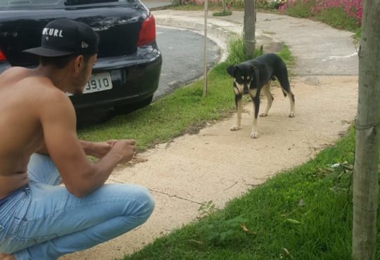 Whatsapp image 2019 12 05 at 14.37.50