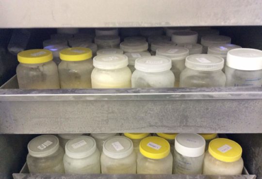 Banco de leite mc 2018 1 