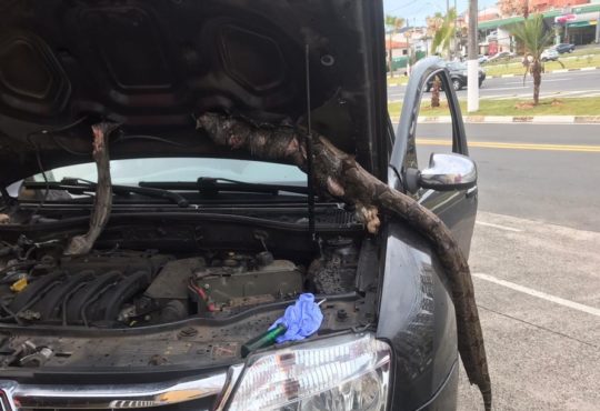 Whatsapp image 2020 01 08 at 17.53.19