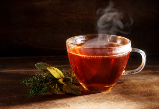 Tea freshly brewed in a glass cup and some herbs on a dark rustic wooden background, healthy hot drink against cold and flu, copy space