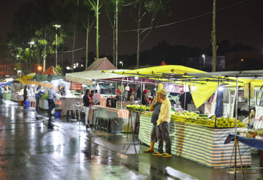 Feira noturna (3)