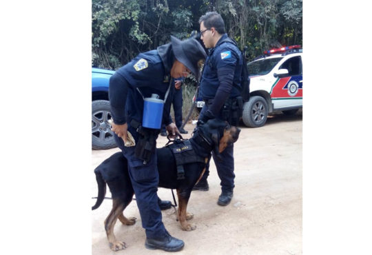 Canil itupeva 4 cópia