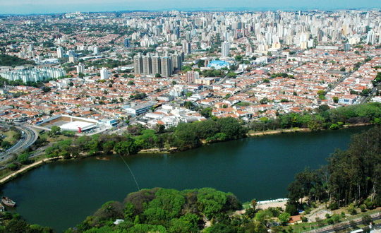 Campinascidde
