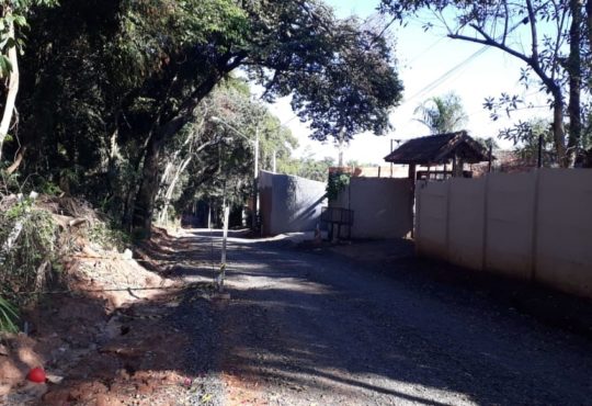 Rua acacia