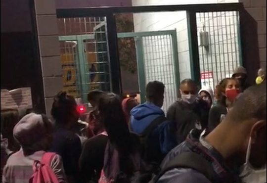 Greve