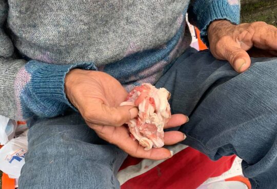 Carne crua a mendingo