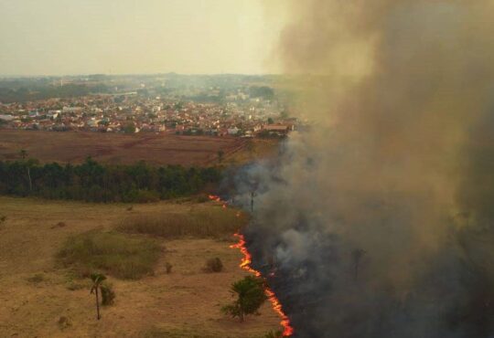 Fumaça