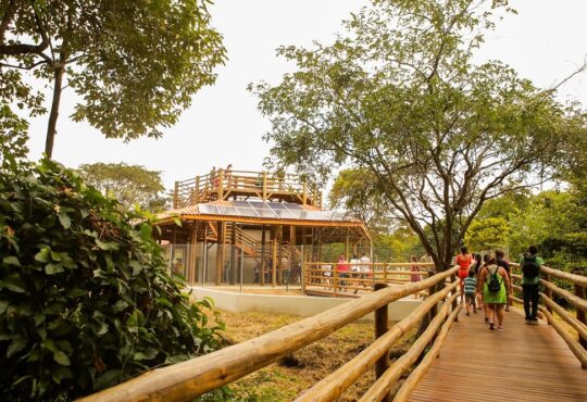 Parques salto