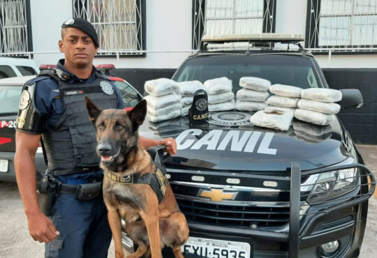 Canil localiza drogas correios cópia