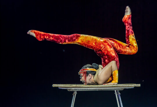 Contorcionista khandmaa boldbaatar 9