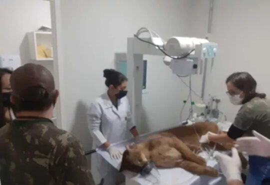 693cde6a 4739 4d86 9745 05ffbf092f09