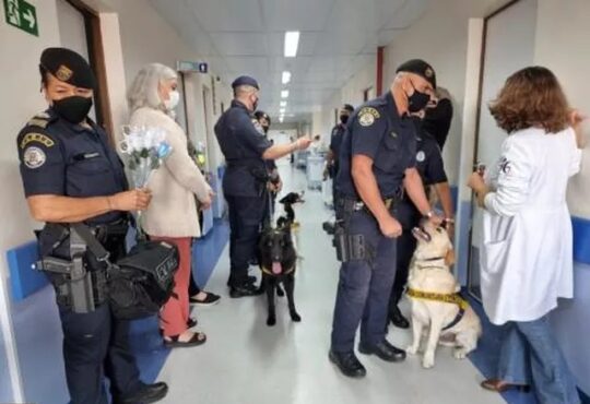 7d0876f3 0b61 4552 b156 a187479c2c75