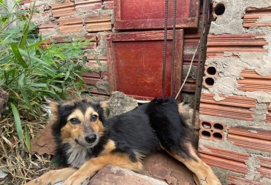 C76b463d 1264 4428 b938 963bf769be24