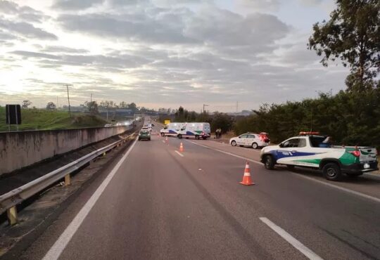 Acidente com vaca campinas