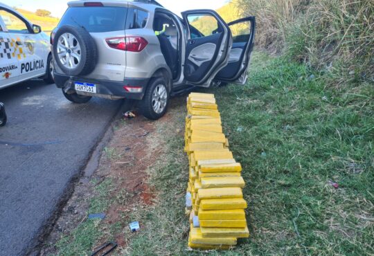 D1d334a5 988b 46e9 98f7 2e08bc732887