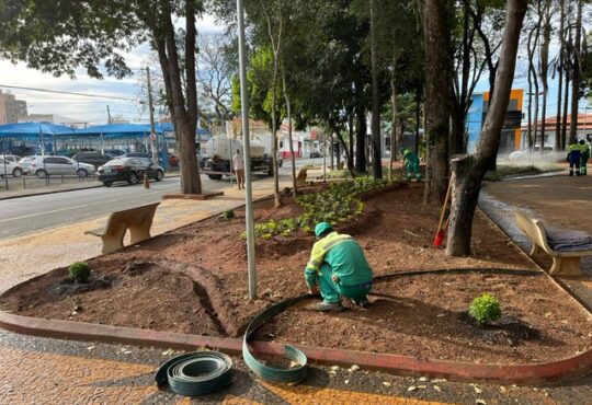 Paisagismo praça rui barbosa
