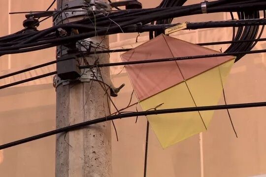 Pipa reprodução eptv