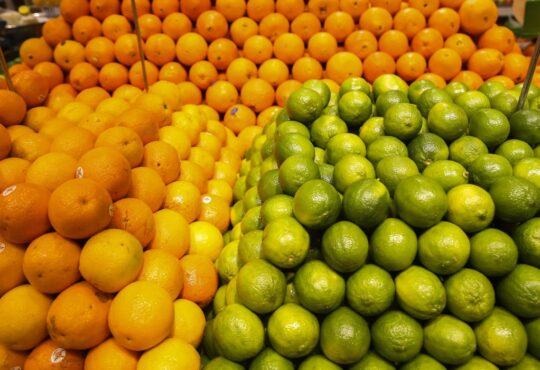 Laranja,limão, tangerina