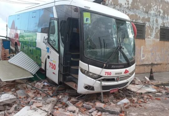 Marcos pinguim onibus