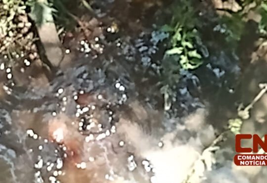 Bebe jogado em corrego itu