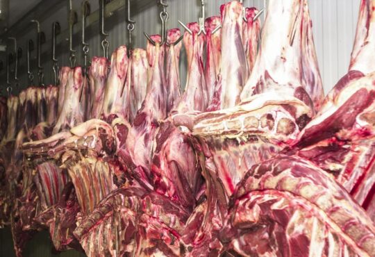 Carne fresca,açougues, frigoríficos, alimento