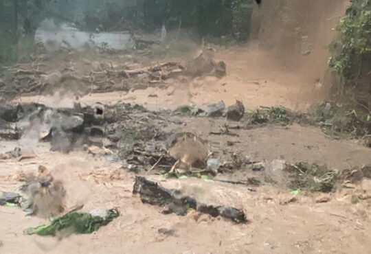 Sao sebastiao 1 750x395