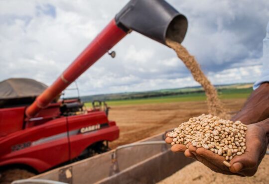 Feijão cna werderson araujo triluz