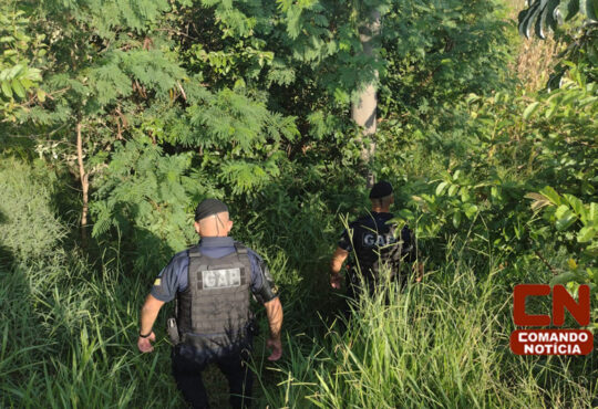 Cerco a bandidos cópia