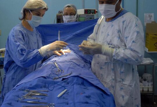 Medicos marcello casal jr