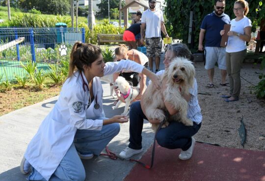 Vacina cachorro eliandro figueira