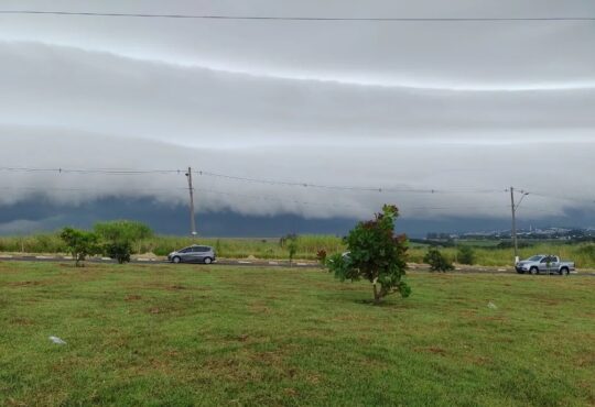 Nunens prateleira cepagri