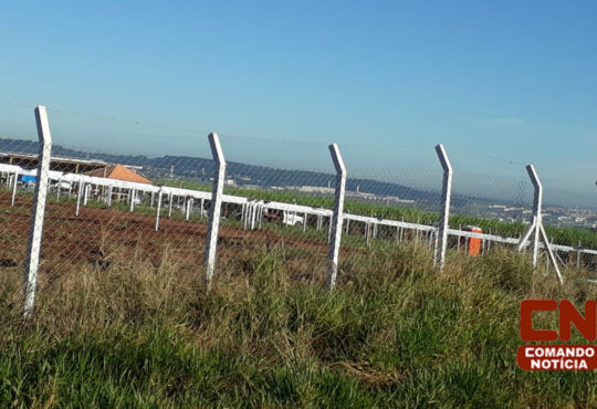 Roubo bobina fazenda pimenta cópia