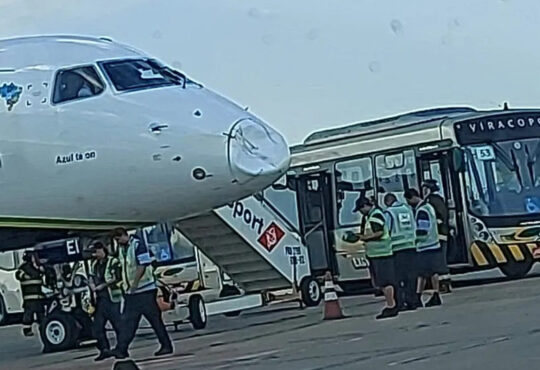 Bico de aviãoa tingido por passsaro