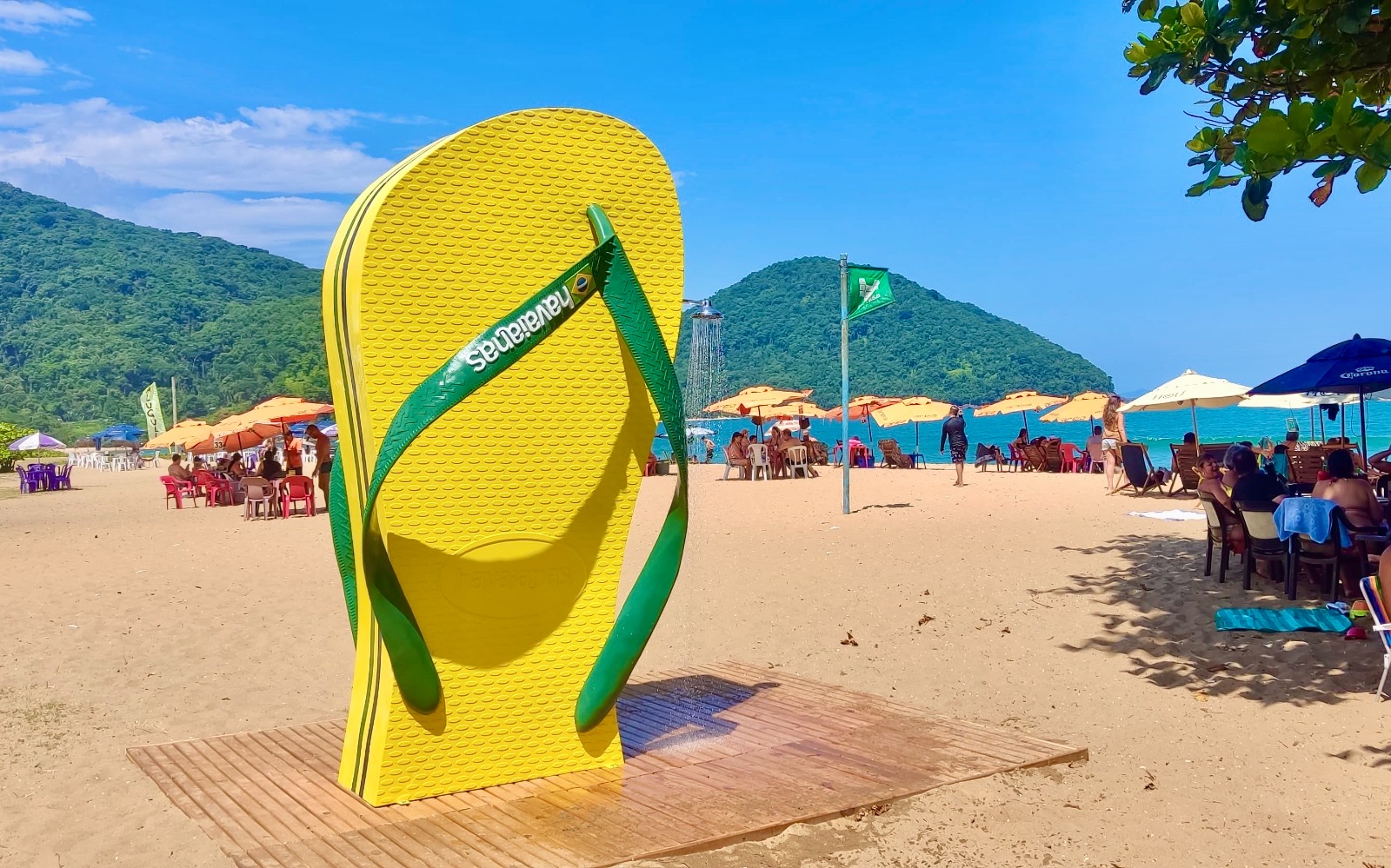 Havaianas paulista 2025