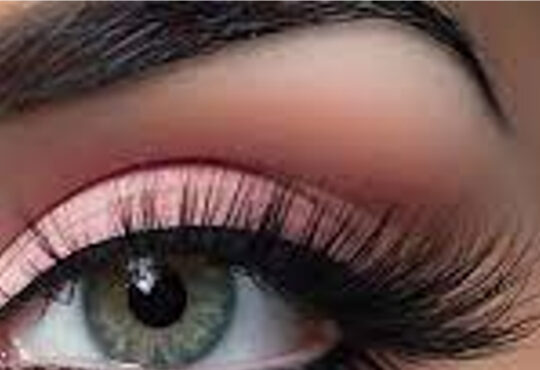 Cils editor ldc comunicação silios