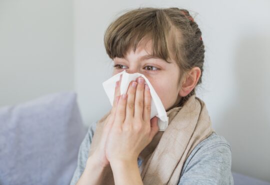 Gripe vfr
