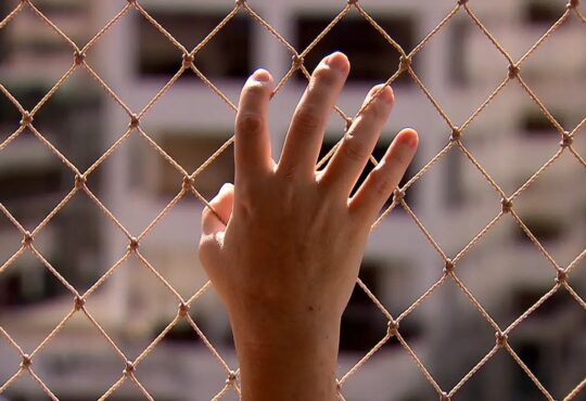 Tv brasil feminicidio