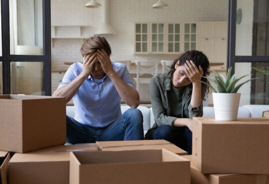 Whatsapp image 2024 10 11 at 18.23.14