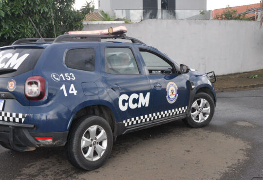 Gcm de elias fausto
