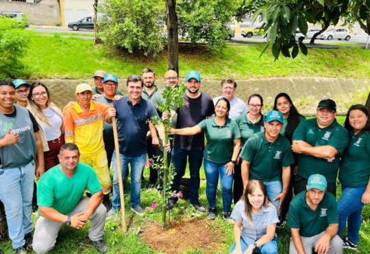 Camila jacober plantio de arvore