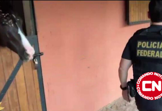 Policia federal indaiatuba